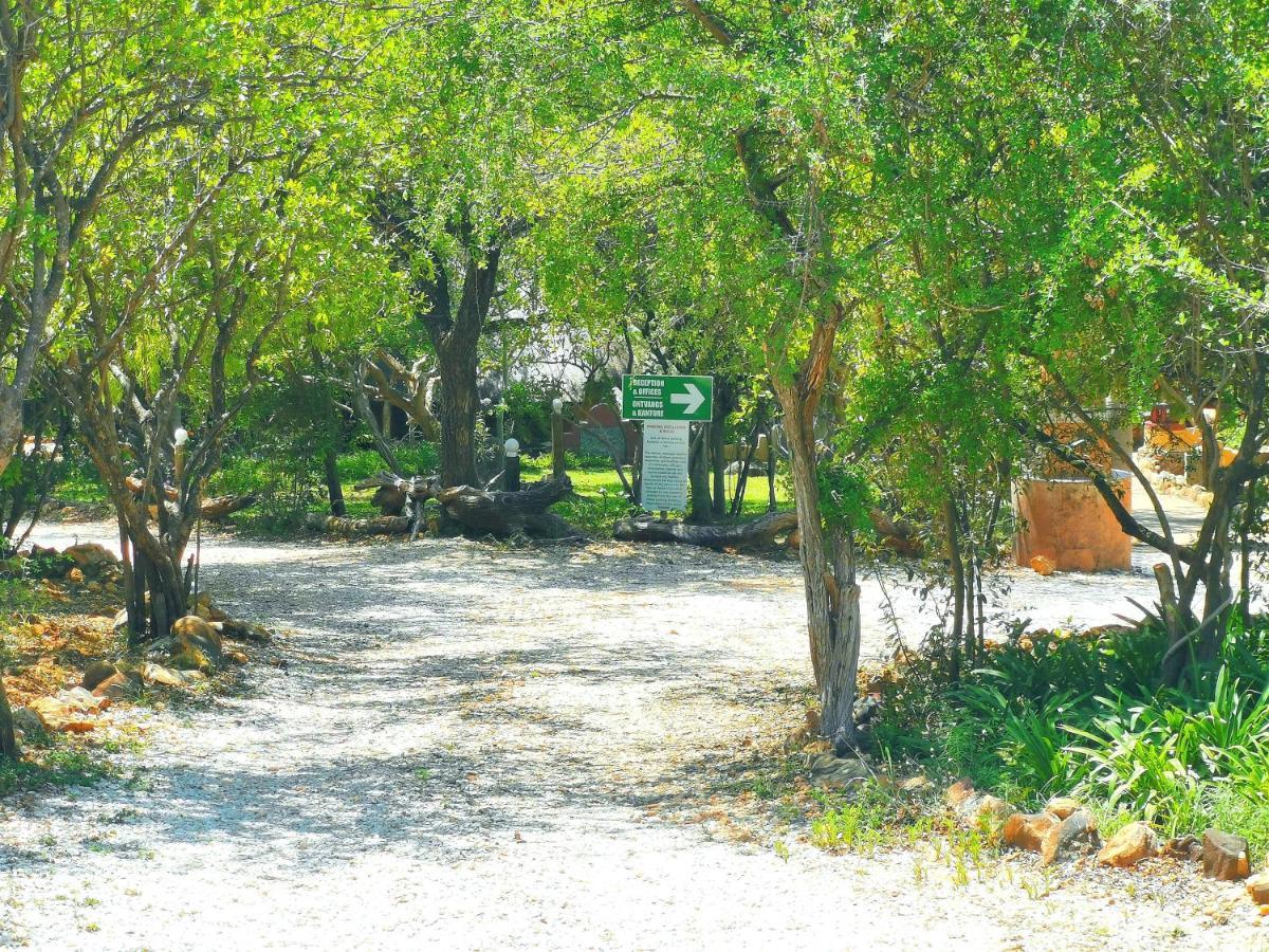 הודספרויט Mali Mali Safari Lodge מראה חיצוני תמונה