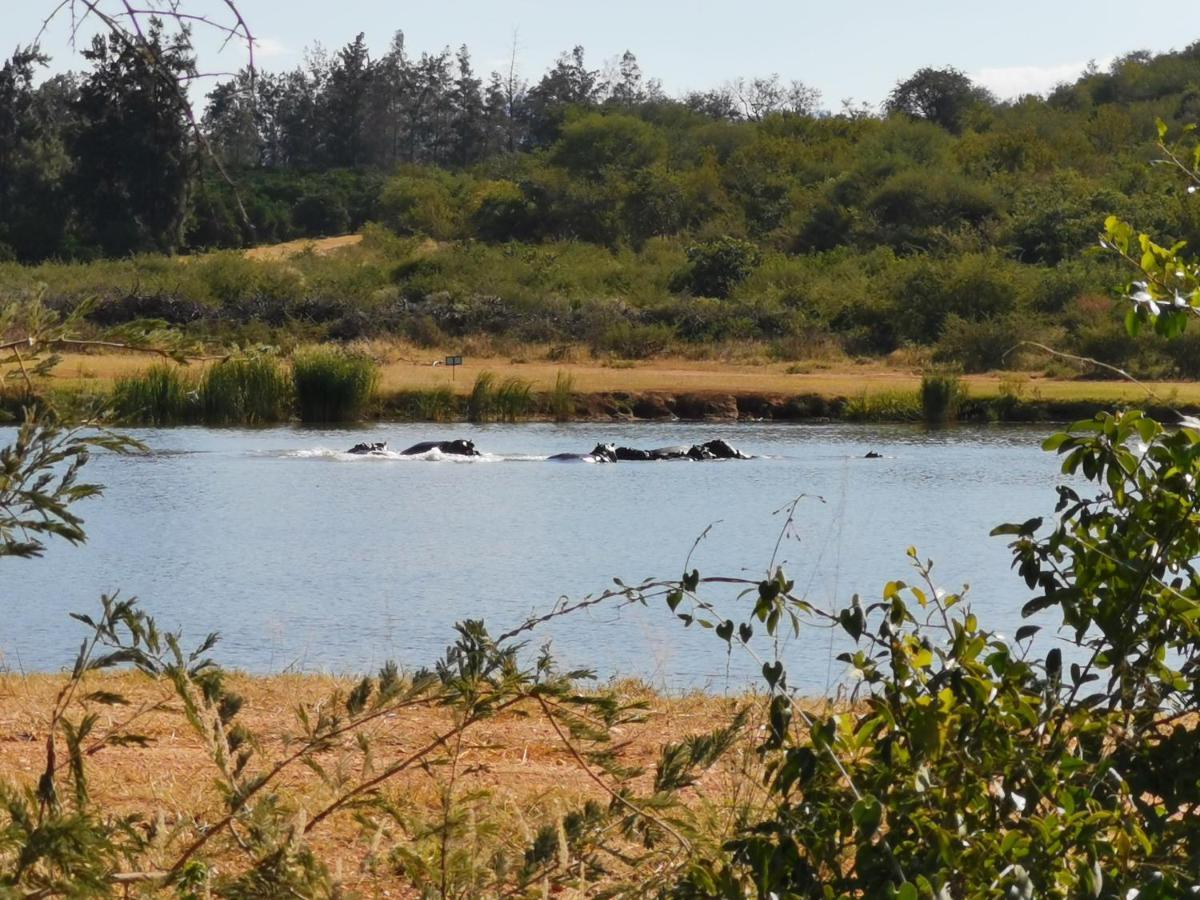 הודספרויט Mali Mali Safari Lodge מראה חיצוני תמונה