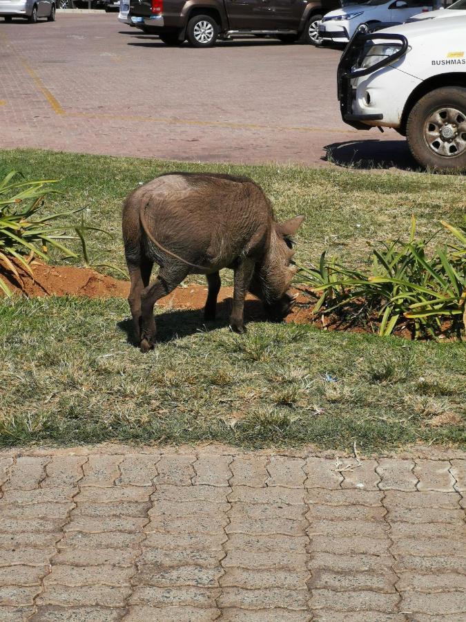 הודספרויט Mali Mali Safari Lodge מראה חיצוני תמונה
